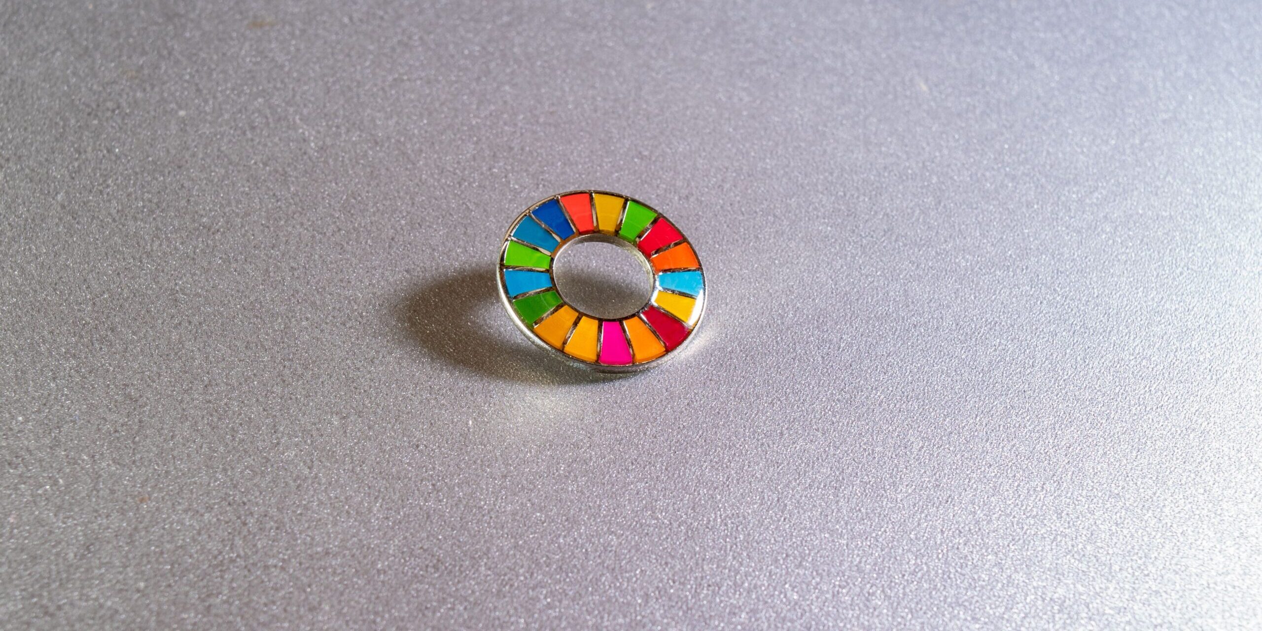 lose up of the United Nations Sustainable Development Goals icon sostenibilidad