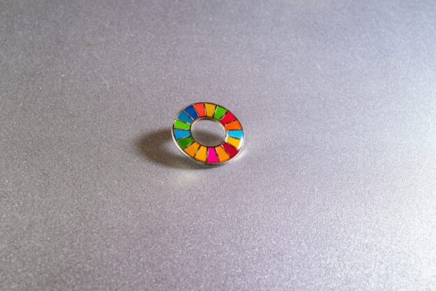 lose up of the United Nations Sustainable Development Goals icon